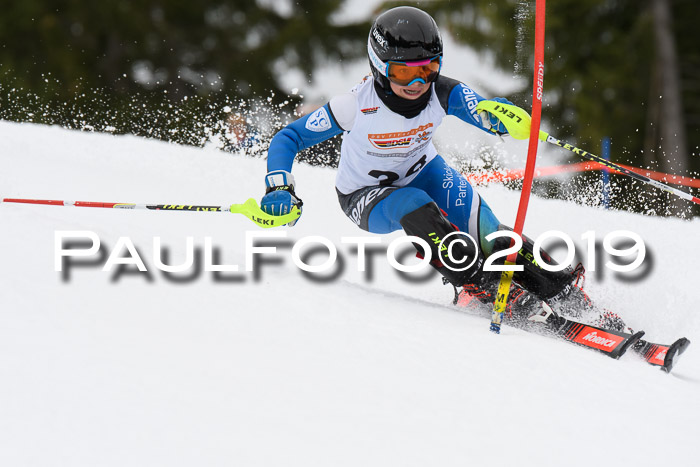 DSV Schülercup U14 Finale Slalom 09.03.2019