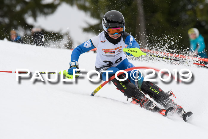 DSV Schülercup U14 Finale Slalom 09.03.2019