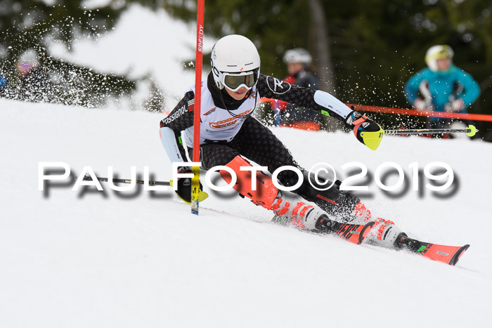 DSV Schülercup U14 Finale Slalom 09.03.2019