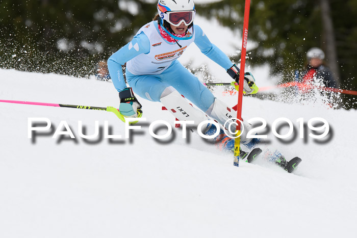 DSV Schülercup U14 Finale Slalom 09.03.2019