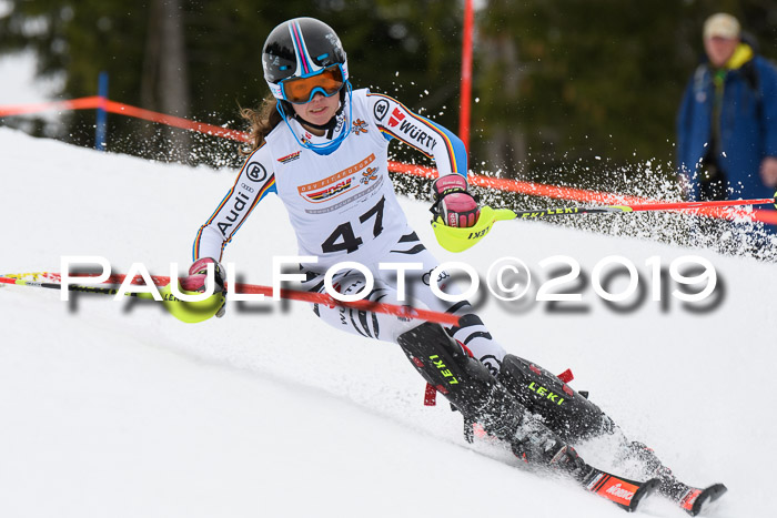 DSV Schülercup U14 Finale Slalom 09.03.2019
