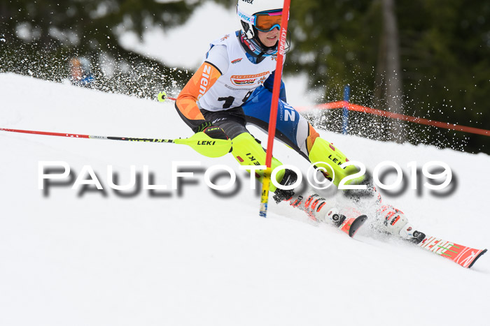 DSV Schülercup U14 Finale Slalom 09.03.2019