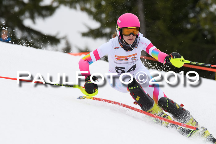 DSV Schülercup U14 Finale Slalom 09.03.2019