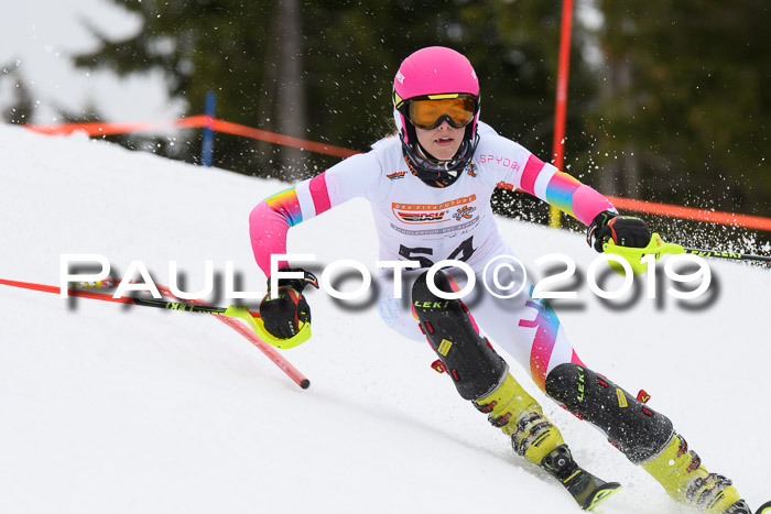 DSV Schülercup U14 Finale Slalom 09.03.2019