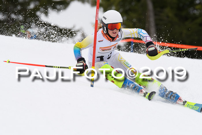 DSV Schülercup U14 Finale Slalom 09.03.2019
