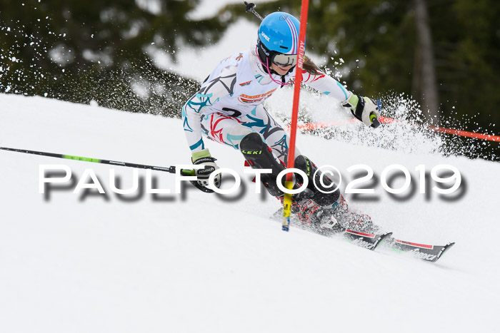 DSV Schülercup U14 Finale Slalom 09.03.2019