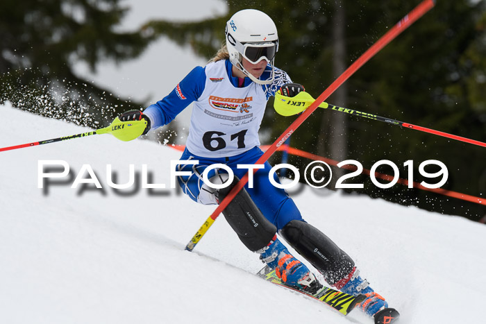 DSV Schülercup U14 Finale Slalom 09.03.2019