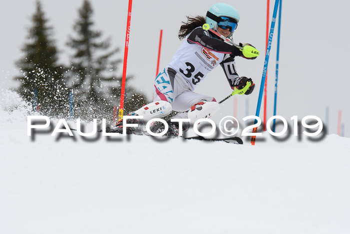 DSV Schülercup U14 Finale Slalom 09.03.2019