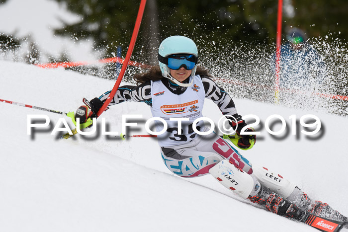 DSV Schülercup U14 Finale Slalom 09.03.2019