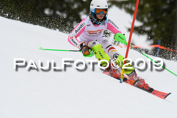 DSV Schülercup U14 Finale Slalom 09.03.2019