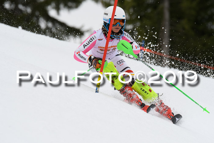 DSV Schülercup U14 Finale Slalom 09.03.2019