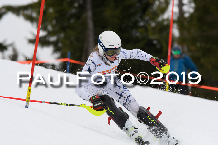 DSV Schülercup U14 Finale Slalom 09.03.2019