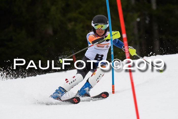 DSV Schülercup U14 Finale Slalom 09.03.2019