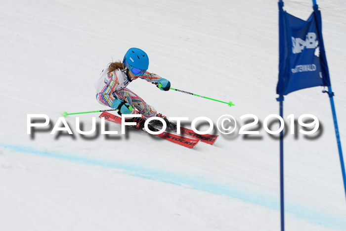 Mittenwalder Zwergerlrennen, 10.03.2019
