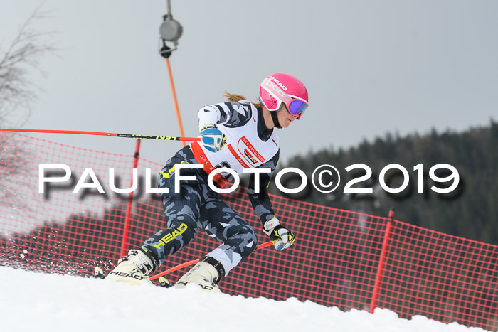 Dt. Schülercup U16 Finale, Parallelslalom, 10.03.2019, Siegerehrungen DSC Gesamt