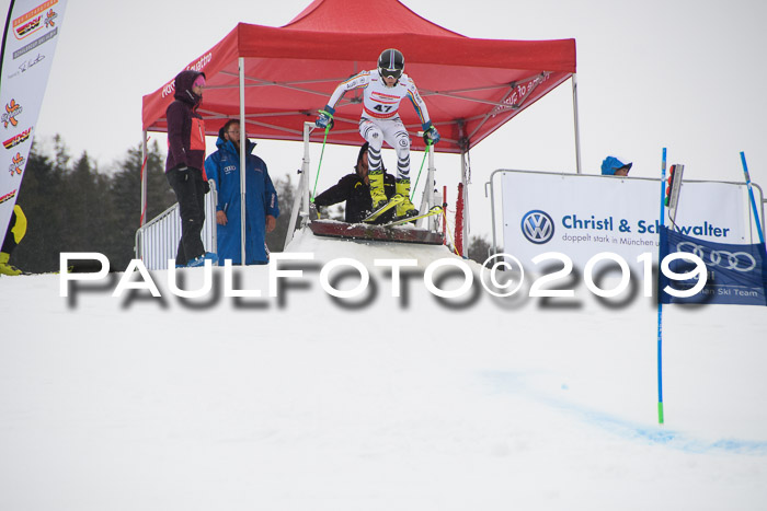 Dt. Schülercup U16 Finale, Parallelslalom, 10.03.2019, Siegerehrungen DSC Gesamt