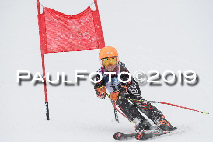 Hessische Jahrgangs Meisterschaft 2019 Kinder U8 - U10, Schüler U12 - U16 