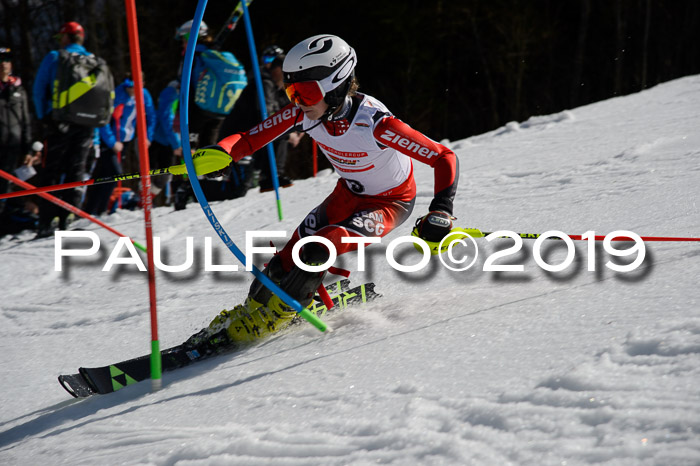 Dt. Schülermeisterschaft Slalom 16.03.2019