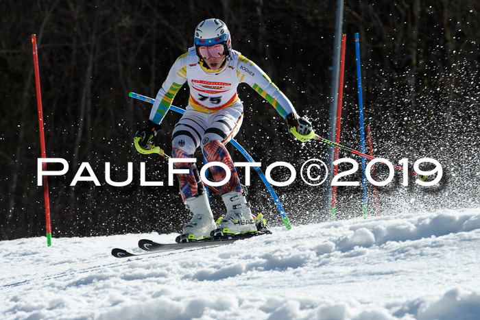 Dt. Schülermeisterschaft Slalom 16.03.2019