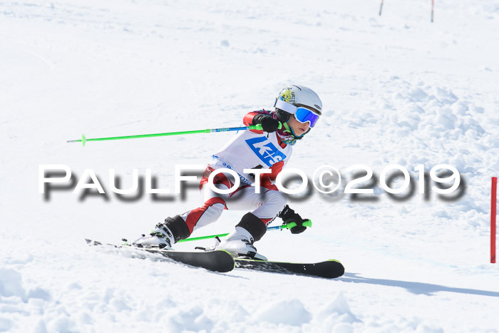 Hessische Jahrgangs Meisterschaft 2019 Kinder U8 - U10, Schüler U12 - U16 