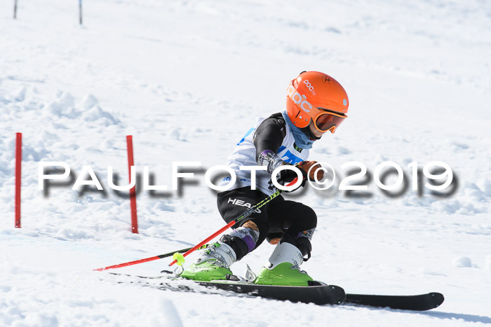 Hessische Jahrgangs Meisterschaft 2019 Kinder U8 - U10, Schüler U12 - U16 
