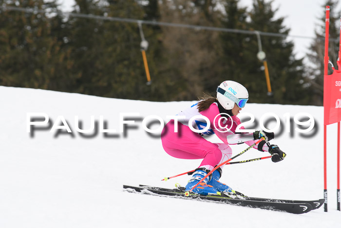 Hessische Jahrgangs Meisterschaft 2019 Kinder U8 - U10, Schüler U12 - U16 