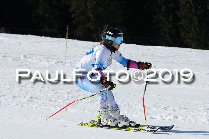 Hessische Jahrgangs Meisterschaft 2019 Kinder U8 - U10, Schüler U12 - U16 