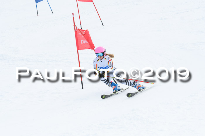 Hessische Jahrgangs Meisterschaft 2019 Kinder U8 - U10, Schüler U12 - U16 