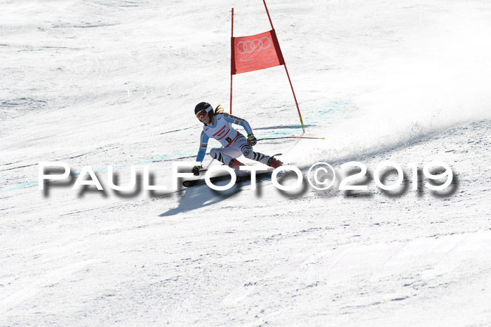 Dt. Schülermeisterschaft Super-G, 17.03.2019