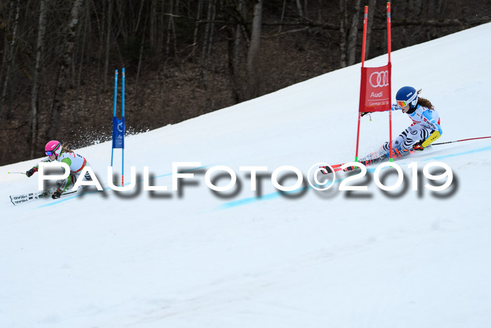 Dt. Schülermeisterschaft Team PSL, 17.03.2019