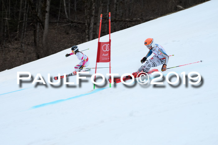 Dt. Schülermeisterschaft Team PSL, 17.03.2019