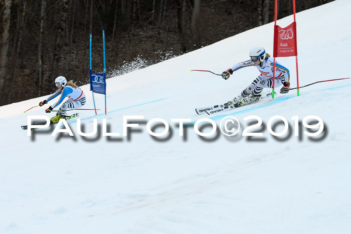 Dt. Schülermeisterschaft Team PSL, 17.03.2019