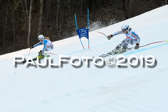 Dt. Schülermeisterschaft Team PSL, 17.03.2019