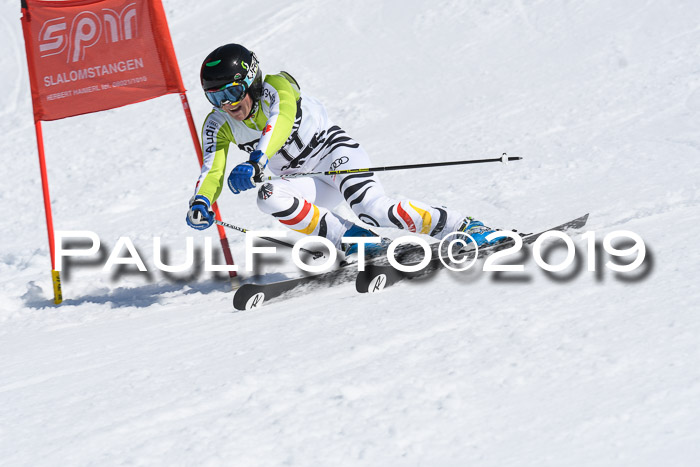 21. SVM Regionalcup-Finale 2019, Kinder, Schüler, Jugend, Erwachsene + Siegerehrungen, 18.03.2018