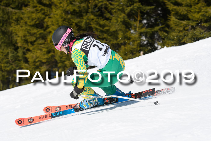21. SVM Regionalcup-Finale 2019, Kinder, Schüler, Jugend, Erwachsene + Siegerehrungen, 18.03.2018