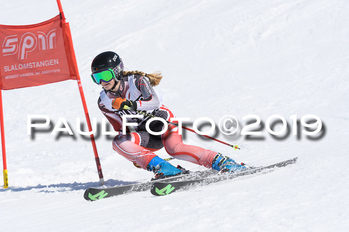 21. SVM Regionalcup-Finale 2019, Kinder, Schüler, Jugend, Erwachsene + Siegerehrungen, 18.03.2018