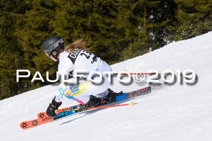 21. SVM Regionalcup-Finale 2019, Kinder, Schüler, Jugend, Erwachsene + Siegerehrungen, 18.03.2018