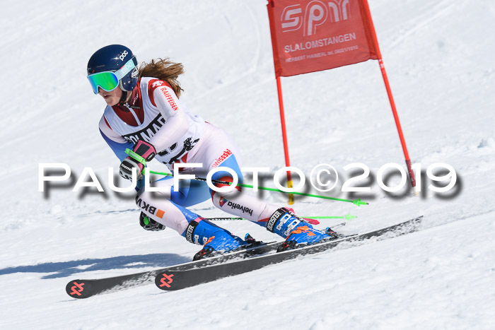 21. SVM Regionalcup-Finale 2019, Kinder, Schüler, Jugend, Erwachsene + Siegerehrungen, 18.03.2018