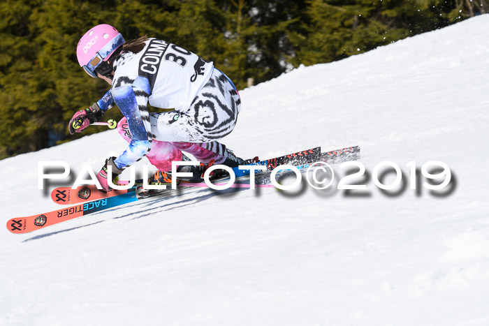 21. SVM Regionalcup-Finale 2019, Kinder, Schüler, Jugend, Erwachsene + Siegerehrungen, 18.03.2018
