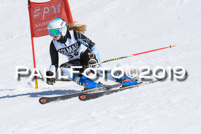 21. SVM Regionalcup-Finale 2019, Kinder, Schüler, Jugend, Erwachsene + Siegerehrungen, 18.03.2018