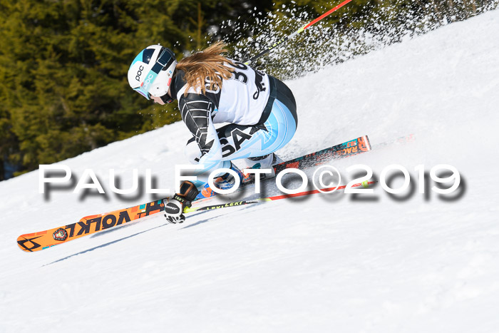21. SVM Regionalcup-Finale 2019, Kinder, Schüler, Jugend, Erwachsene + Siegerehrungen, 18.03.2018