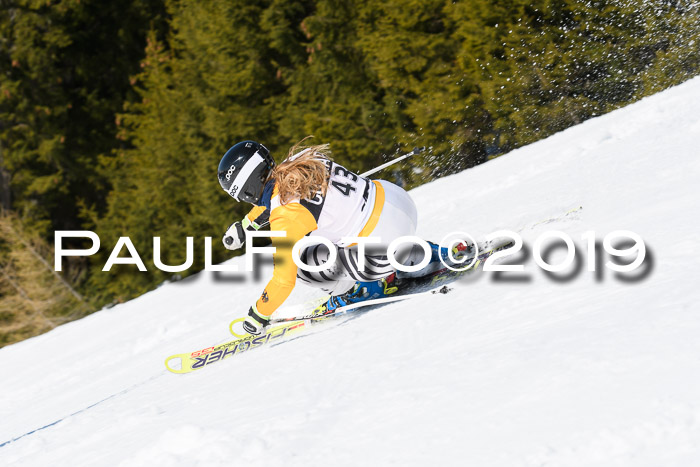 21. SVM Regionalcup-Finale 2019, Kinder, Schüler, Jugend, Erwachsene + Siegerehrungen, 18.03.2018