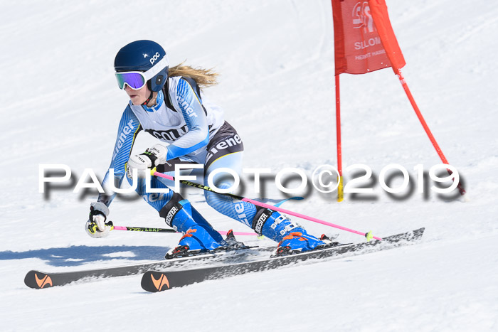 21. SVM Regionalcup-Finale 2019, Kinder, Schüler, Jugend, Erwachsene + Siegerehrungen, 18.03.2018