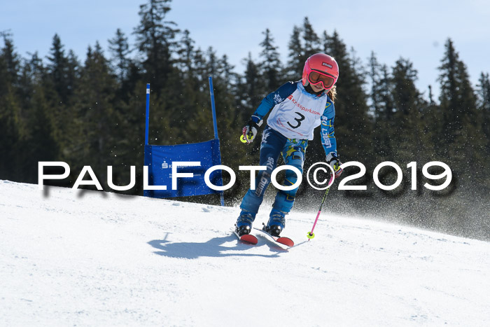 21. SVM Regionalcup-Finale 2019, Kinder, Schüler, Jugend, Erwachsene + Siegerehrungen, 18.03.2018