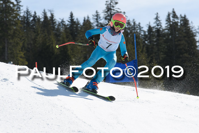 21. SVM Regionalcup-Finale 2019, Kinder, Schüler, Jugend, Erwachsene + Siegerehrungen, 18.03.2018