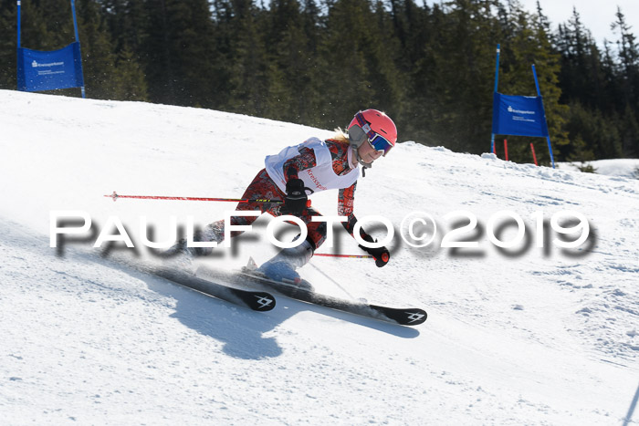 21. SVM Regionalcup-Finale 2019, Kinder, Schüler, Jugend, Erwachsene + Siegerehrungen, 18.03.2018
