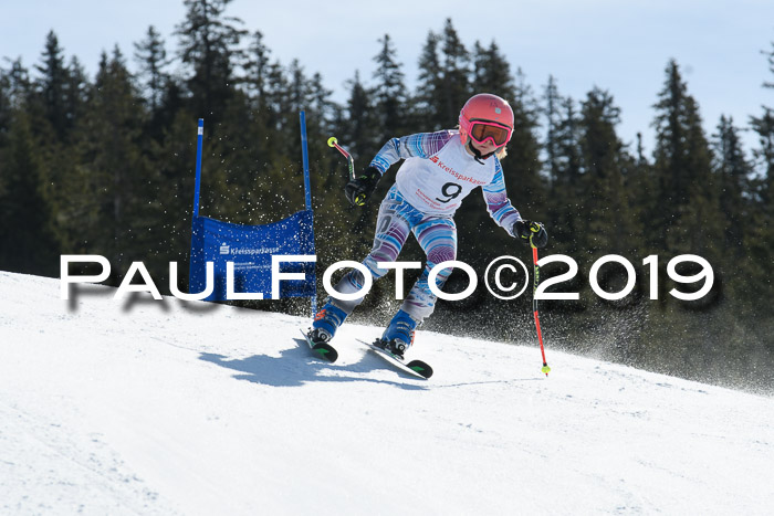 21. SVM Regionalcup-Finale 2019, Kinder, Schüler, Jugend, Erwachsene + Siegerehrungen, 18.03.2018