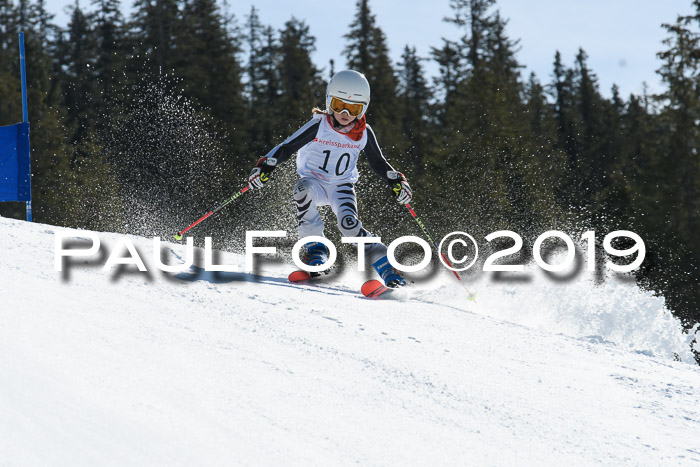 21. SVM Regionalcup-Finale 2019, Kinder, Schüler, Jugend, Erwachsene + Siegerehrungen, 18.03.2018