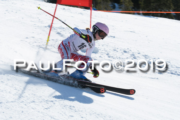 21. SVM Regionalcup-Finale 2019, Kinder, Schüler, Jugend, Erwachsene + Siegerehrungen, 18.03.2018