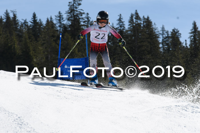 21. SVM Regionalcup-Finale 2019, Kinder, Schüler, Jugend, Erwachsene + Siegerehrungen, 18.03.2018